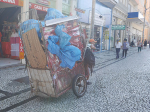 Müllabfuhr auf Brasilianisch
