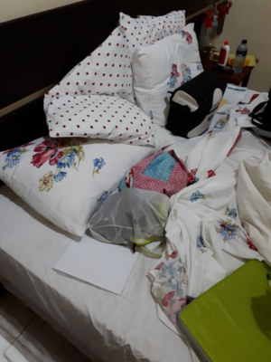 Chaos auf dem Bett nach dem Überfall